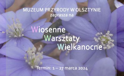 Plakat zapraszający w dniach 1-27 marca 2024 r. do Muzeum Przyrody w Olsztynie na Wiosenne Warsztaty Wielkanocne Muzeum Przyrody Olsztyn 2024.