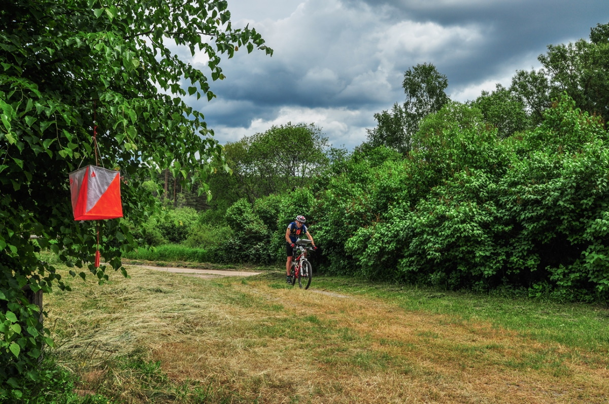 Zdjęcie zapraszające w sobotę 15 czerwca 2024 r. do Mikołajek na Mazurskie Tropy - rajd pieszy & rowerowy na orientacje Mikołajki 2024.