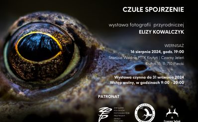 Plakat zapraszający w dniach od 16 sierpnia do 30 września 2024 r. do Krutyni na Wystawę fotografii przyrodniczej Elizy Kowalczyk “Czułe spojrzenie” Krutyń 2024. 