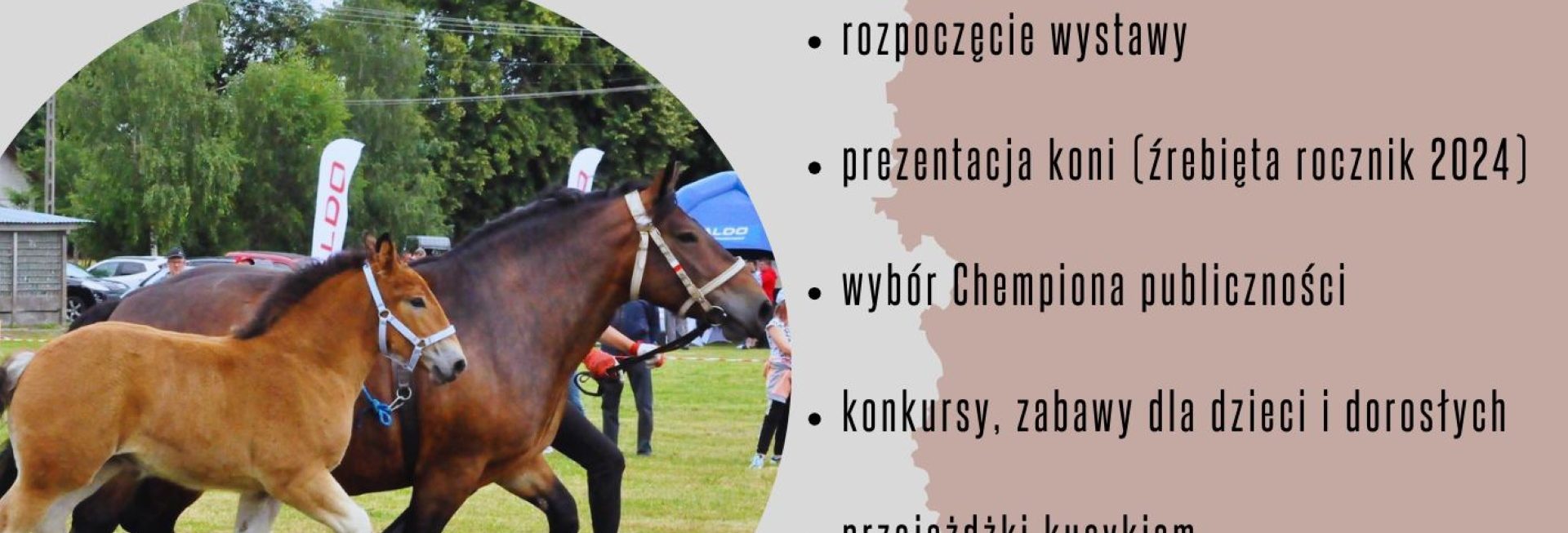 Plakat zapraszający w niedzielę 11 sierpnia 2024 r. do miejscowości Muntowo w gminie Mrągowo na 4. edycję Wystawy Koni Ras Zimnokrwistych Muntowo 2024.