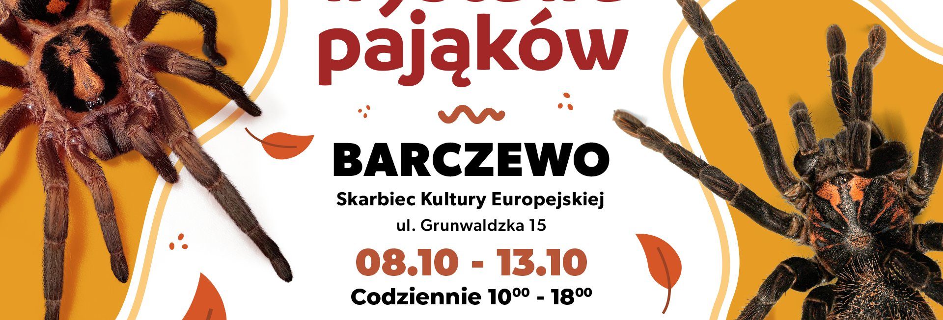 Plakat zapraszający w dniach 8-13 października 2024 r. do Barczewa na Wystawę Pająków Barczewo 2024.