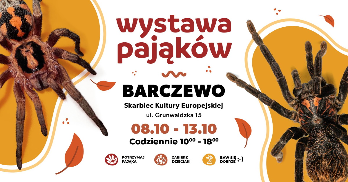 Plakat zapraszający w dniach 8-13 października 2024 r. do Barczewa na Wystawę Pająków Barczewo 2024.