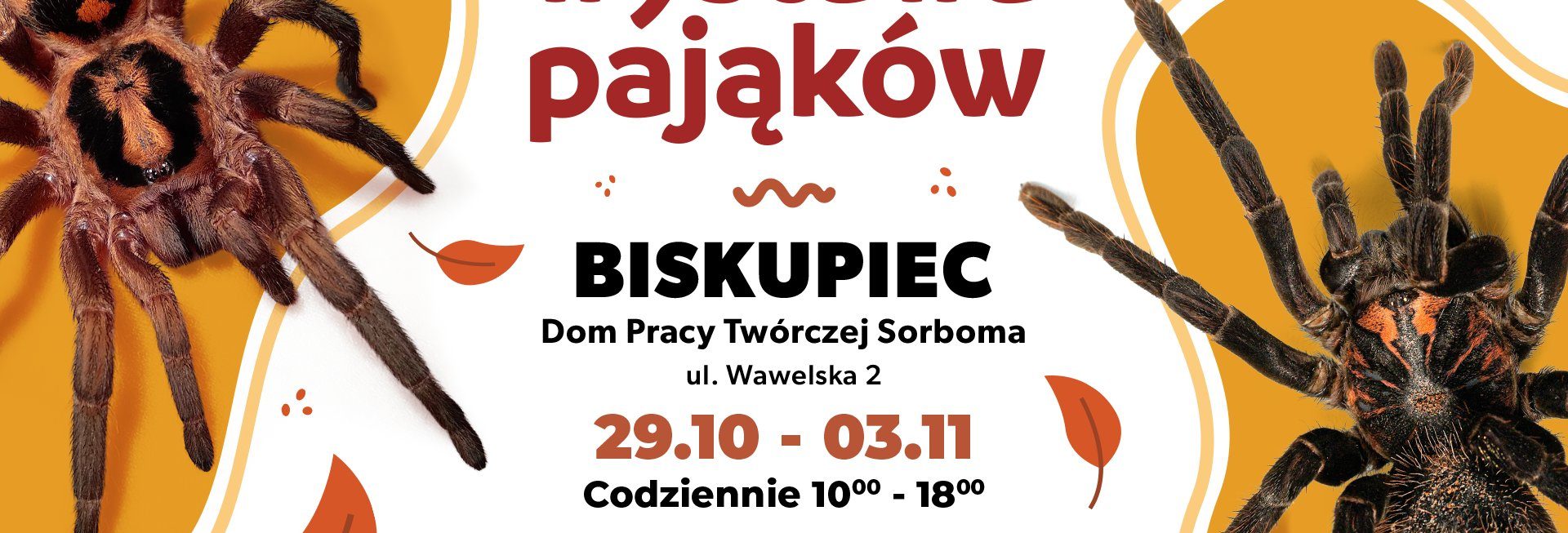 Plakat zapraszający w dniach 29 października - 3 listopada 2024 r. do Biskupca na Wystawę Pająków w Biskupcu 2024.