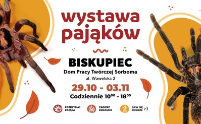 Plakat zapraszający w dniach 29 października - 3 listopada 2024 r. do Biskupca na Wystawę Pająków w Biskupcu 2024.