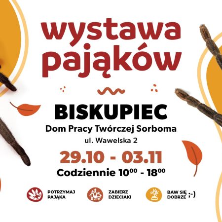 Plakat zapraszający w dniach 29 października - 3 listopada 2024 r. do Biskupca na Wystawę Pająków w Biskupcu 2024.