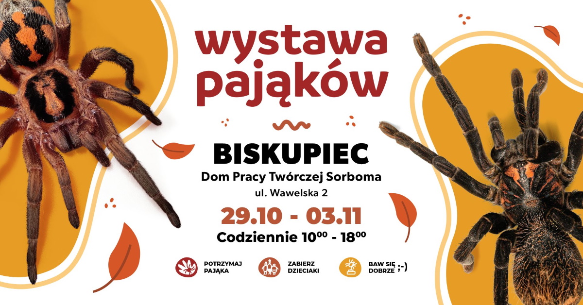 Plakat zapraszający w dniach 29 października - 3 listopada 2024 r. do Biskupca na Wystawę Pająków w Biskupcu 2024.