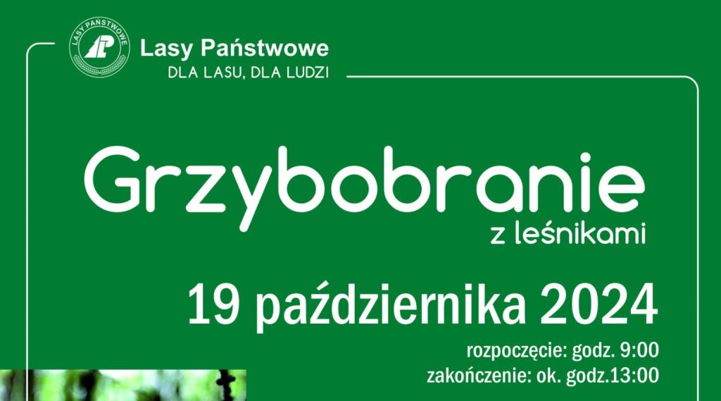 Plakat zapraszający w sobotę 19 października 2024 r. na Grzybobranie z leśnikami Nadleśnictwo Elbląg 2024.