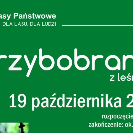 Plakat zapraszający w sobotę 19 października 2024 r. na Grzybobranie z leśnikami Nadleśnictwo Elbląg 2024.