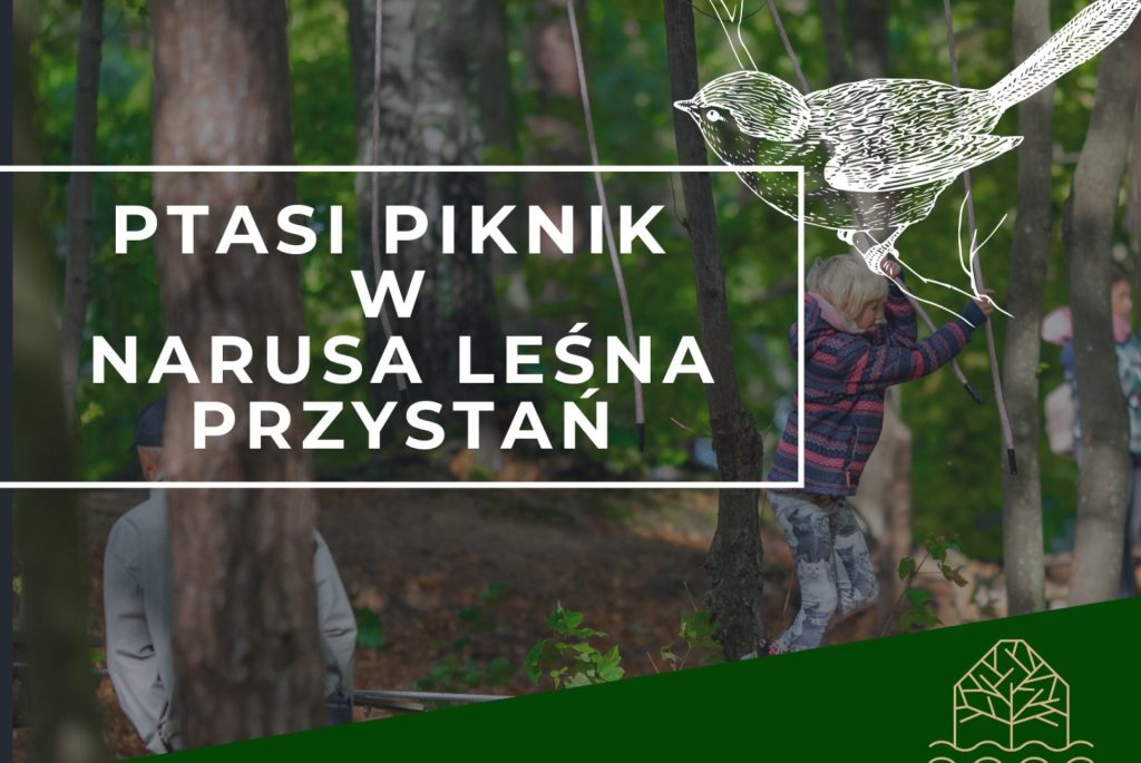 Plakat zapraszający w sobotę 12 października 2024 r. do Fromborka na Ptasi Piknik w Narusa Leśna Przystań Frombork 2024.