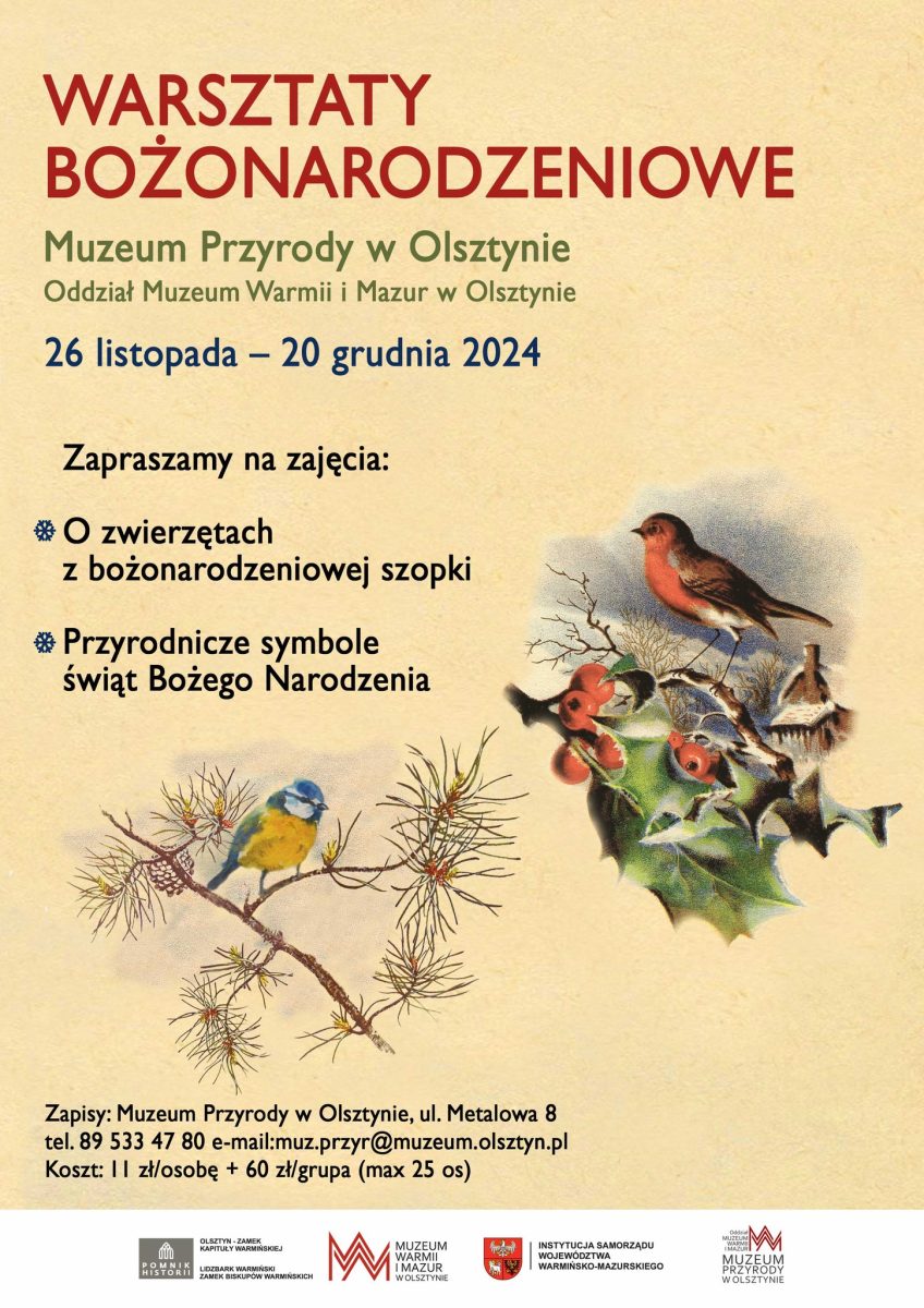 Plakat zapraszający w dniach od 26 listopada do 20 grudnia 2024 r. do Muzeum Przyrody w Olsztynie na Warsztaty Bożonarodzeniowe Muzeum Przyrody w Olsztynie 2024.