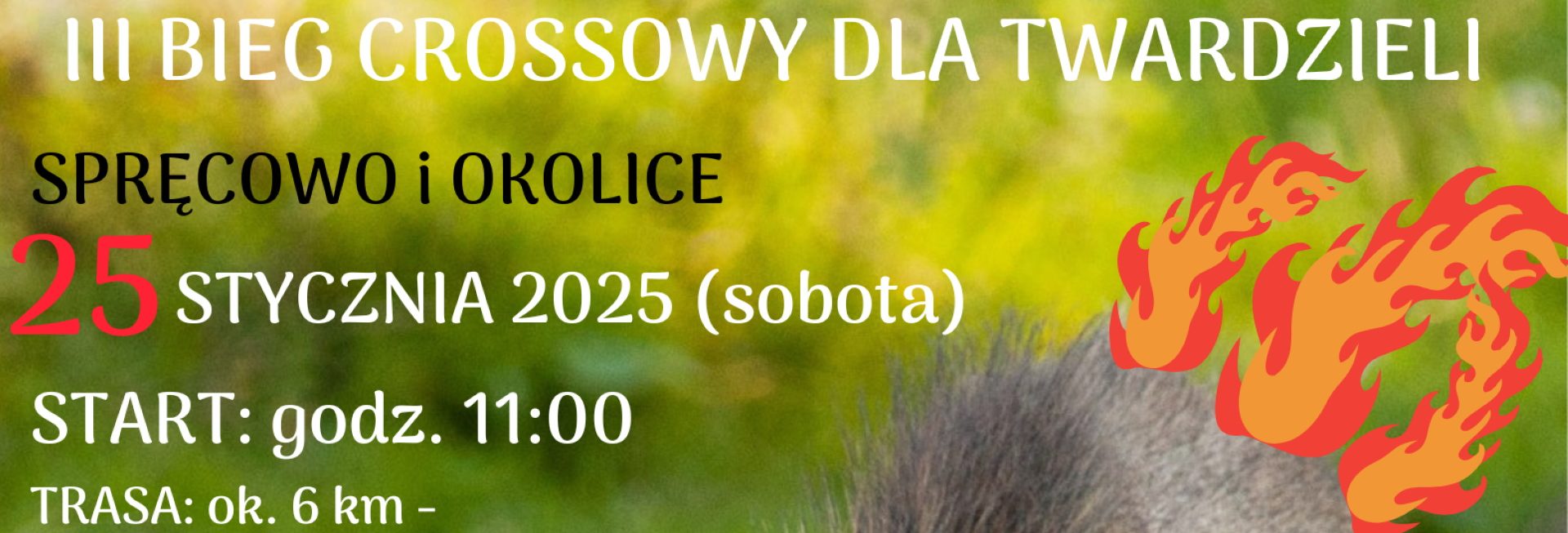 Plakat zapraszający w sobotę 25 stycznia 2025 r. do miejscowości Spręcowo w gminie Dywity na kolejną edycję Begu Dziki w Ogniu & Sztafety Ogniomistrza Spręcowo 2025.