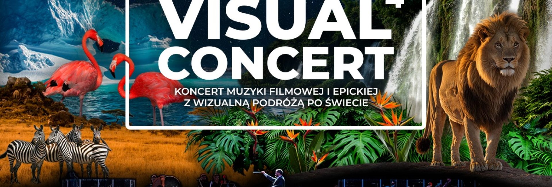 Plakat zapraszający w niedzielę 2 listopada 2025 r. do Olsztyna na Koncert Muzyki Filmowej i Epickie "Visual Concert 4" Hala Urania Olsztyn 2025.