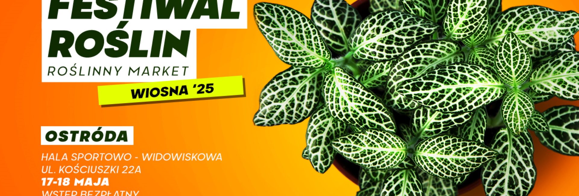 Plakat zapraszający w dniach 17-18 maja 2025 r. do Ostródy na Festiwal Roślin Ostróda 2025.