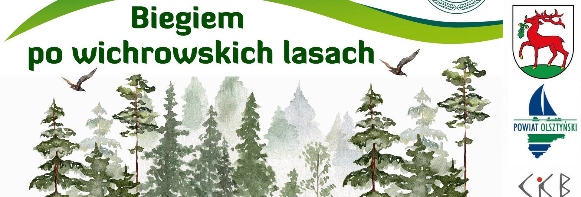 Plakat zapraszający w sobotę 24 maja 2025 r. do miejscowości Wichrowo k. Dobrego Miasta na 14. edycję Biegu Po Wichrowskich Lasach Wichrowo 2025.
