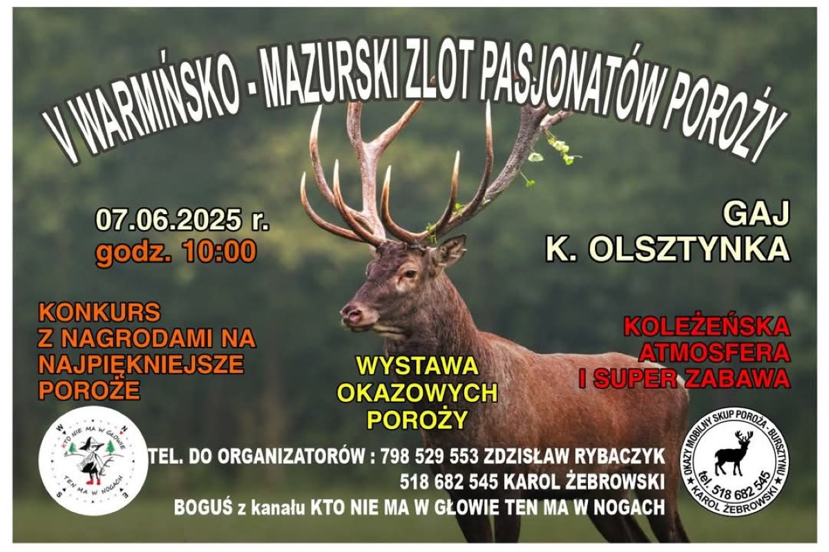 Plakat zapraszający w sobotę 7 czerwca 2025 r. do miejscowości Gaj k.Olsztynka na Warmińsko-Mazurski Zlot Pasjonatów Poroży! Gaj k.Olsztynka 2025. 