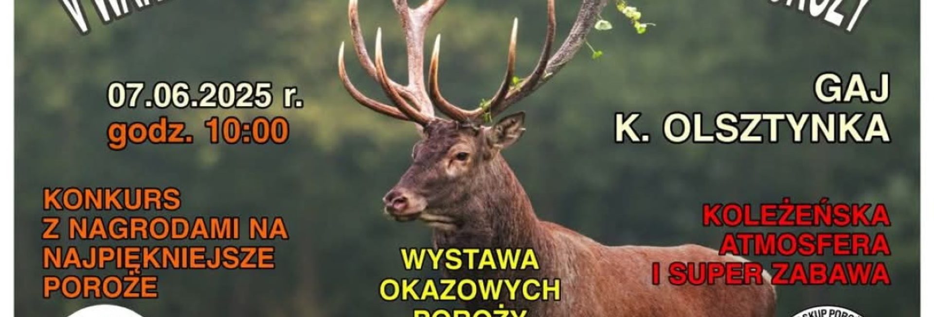 Plakat zapraszający w sobotę 7 czerwca 2025 r. do miejscowości Gaj k.Olsztynka na Warmińsko-Mazurski Zlot Pasjonatów Poroży! Gaj k.Olsztynka 2025.