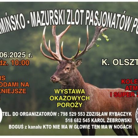 Plakat zapraszający w sobotę 7 czerwca 2025 r. do miejscowości Gaj k.Olsztynka na Warmińsko-Mazurski Zlot Pasjonatów Poroży! Gaj k.Olsztynka 2025.