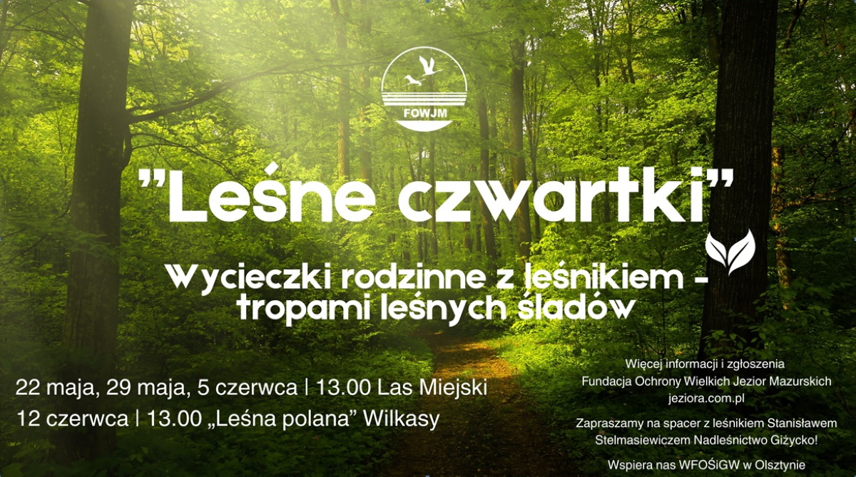 Plakat zapraszający do miejscowości Gajewo k. Giżycka na “Leśne czwartki” Wycieczki rodzinne z leśnikiem – tropami leśnych śladów Gajewo 2025. 