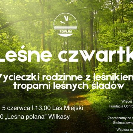 Plakat zapraszający do miejscowości Gajewo k. Giżycka na “Leśne czwartki” Wycieczki rodzinne z leśnikiem – tropami leśnych śladów Gajewo 2025.