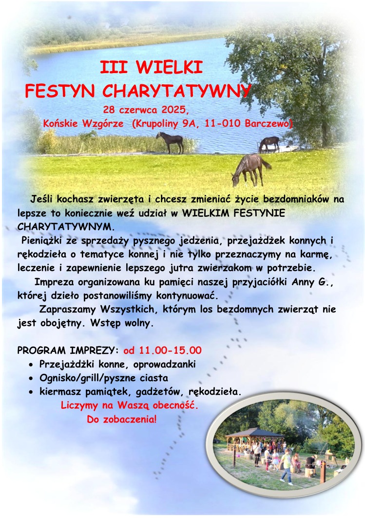 Plakat zapraszający w sobotę 28 czerwca 2025 r. do miejscowości Krupoliny koło Barczewa na Wielki Festyn Charytatywny Krupoliny 2025.  