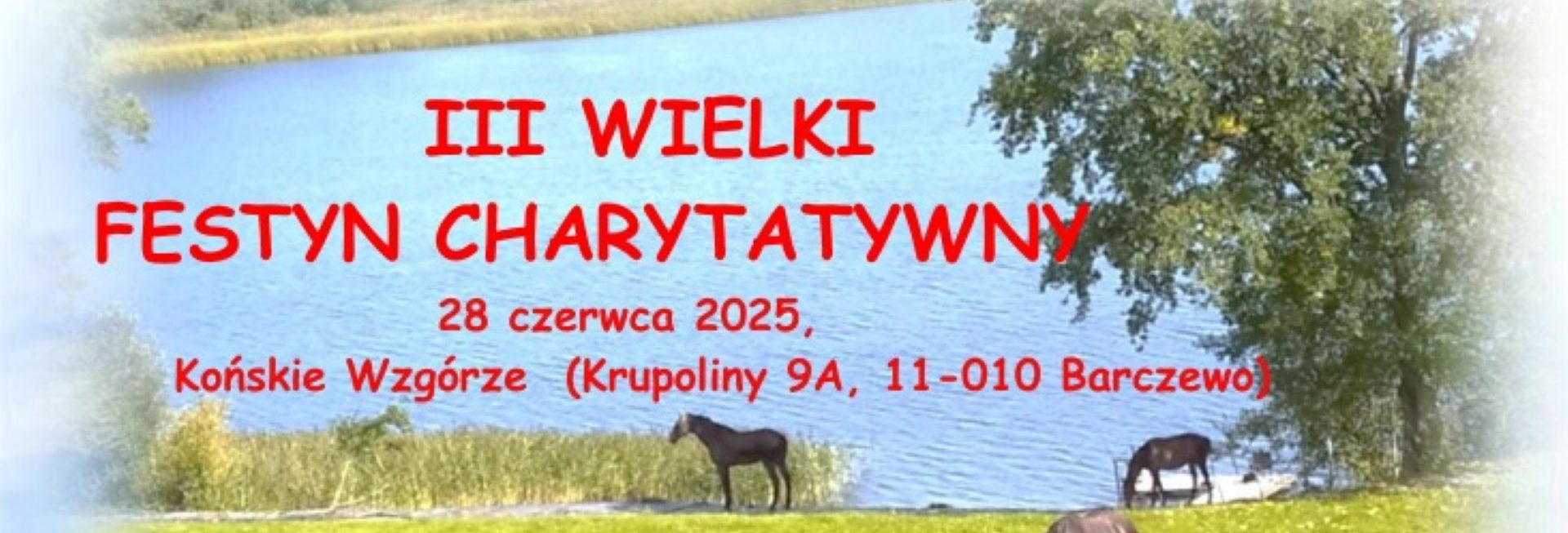 Plakat zapraszający w sobotę 28 czerwca 2025 r. do miejscowości Krupoliny koło Barczewa na Wielki Festyn Charytatywny Krupoliny 2025.