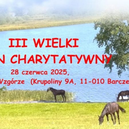 Plakat zapraszający w sobotę 28 czerwca 2025 r. do miejscowości Krupoliny koło Barczewa na Wielki Festyn Charytatywny Krupoliny 2025.