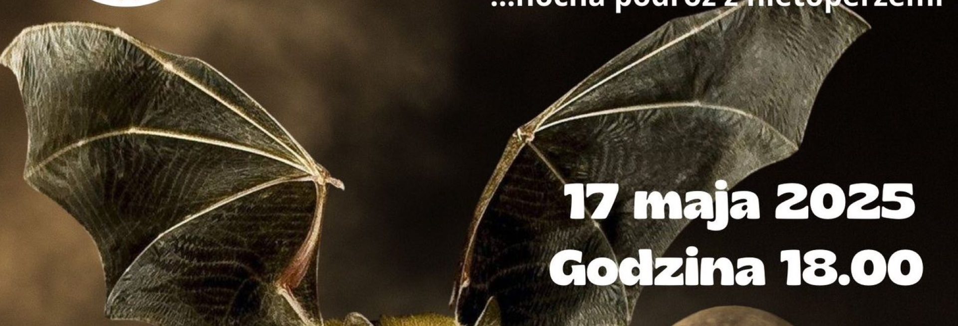 Plakat zapraszający w sobotę 17 maja 2025 r. do Krutyni na Noc Muzeów w Ośrodku Edukacji Przyrodniczo-Kulturalnej Krutyń 2025.