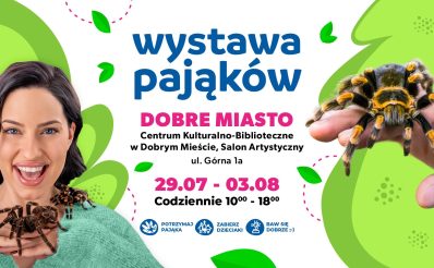 Plakat zapraszający w dniach od 29 lipca do 3 sierpnia 2025 r. do Dobrego Miasta na Wystawę Pająków Dobre Miasto 2025.