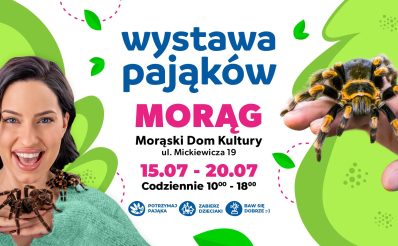 Strona główna