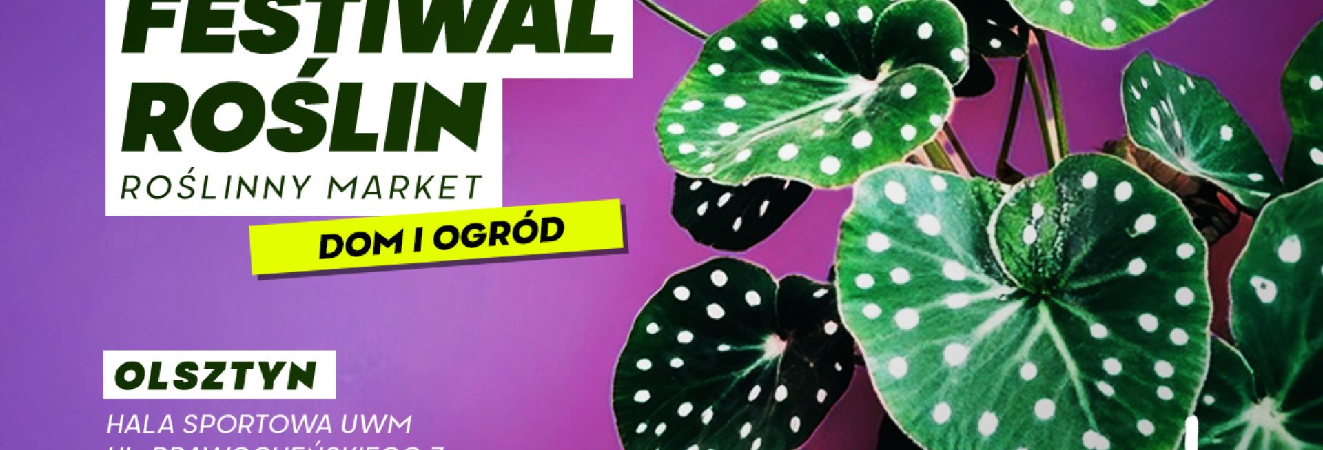 Plakat zapraszający w dniach 13-14 września 2025 r. do Olsztyna na Festiwal Roślin w Olsztynie Kortowo 2025.