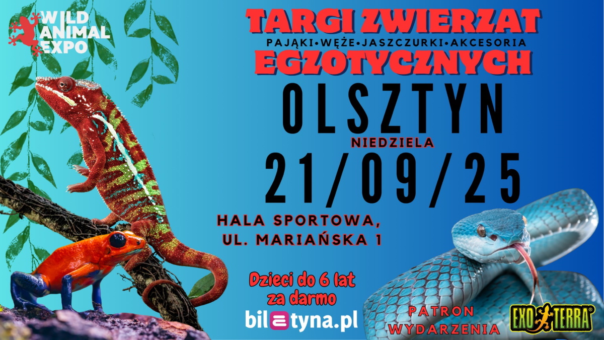 Plakat zapraszający w niedzielę 21 września 2025 r. do Olsztyna na Targi Zwierząt Egzotycznych Olsztyn 2025.