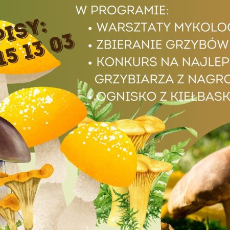 Plakat zapraszający w sobotę 27 września 2025 r. do Dobrego Miasta na Dzień Grzybiarza Dobre Miasto 2025. 