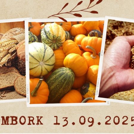 Plakat zapraszający w sobotę 13 września 2025 r. do Fromborka na Dożynki Gminne Frombork 2025. 