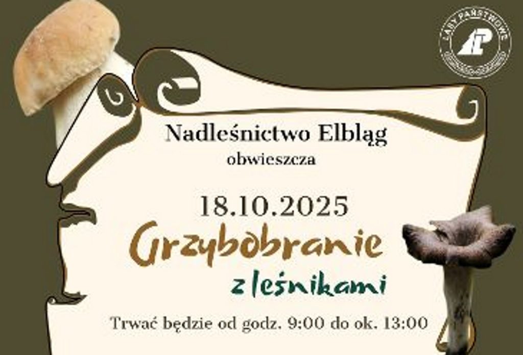 Plakat zapraszający w sobotę 18 października 2025 r. do Elbląga na Grzybobranie z Leśnikami Krasny Las Elbląg 2025.