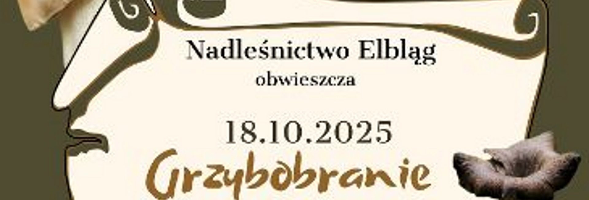 Plakat zapraszający w sobotę 18 października 2025 r. do Elbląga na Grzybobranie z Leśnikami Krasny Las Elbląg 2025.