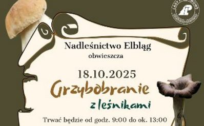 Strona główna