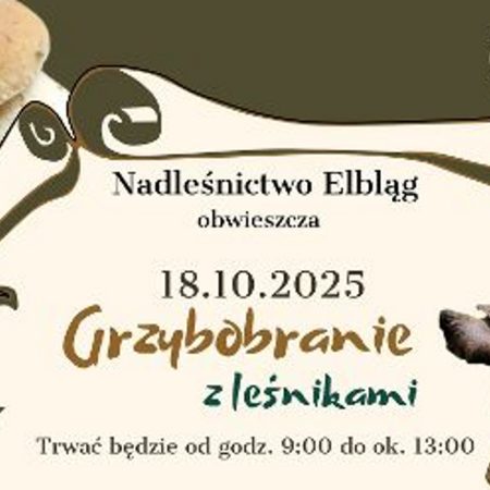 Plakat zapraszający w sobotę 18 października 2025 r. do Elbląga na Grzybobranie z Leśnikami Krasny Las Elbląg 2025.