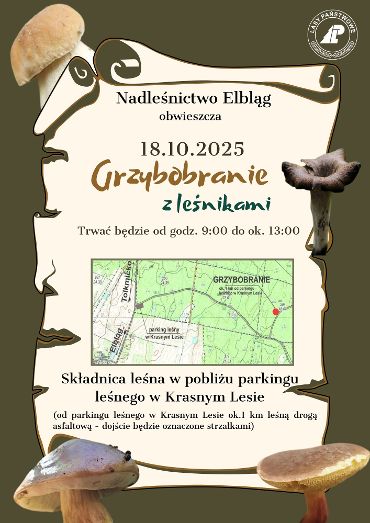 Plakat zapraszający w sobotę 18 października 2025 r. do Elbląga na Grzybobranie z Leśnikami Krasny Las Elbląg 2025.