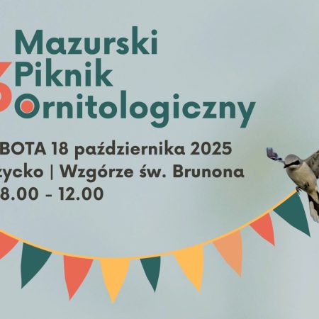 Plakat zapraszający w sobotę 18 października 2025 r. do Giżycka na Mazurski Piknik Ornitologiczny Giżycko 2025. 
