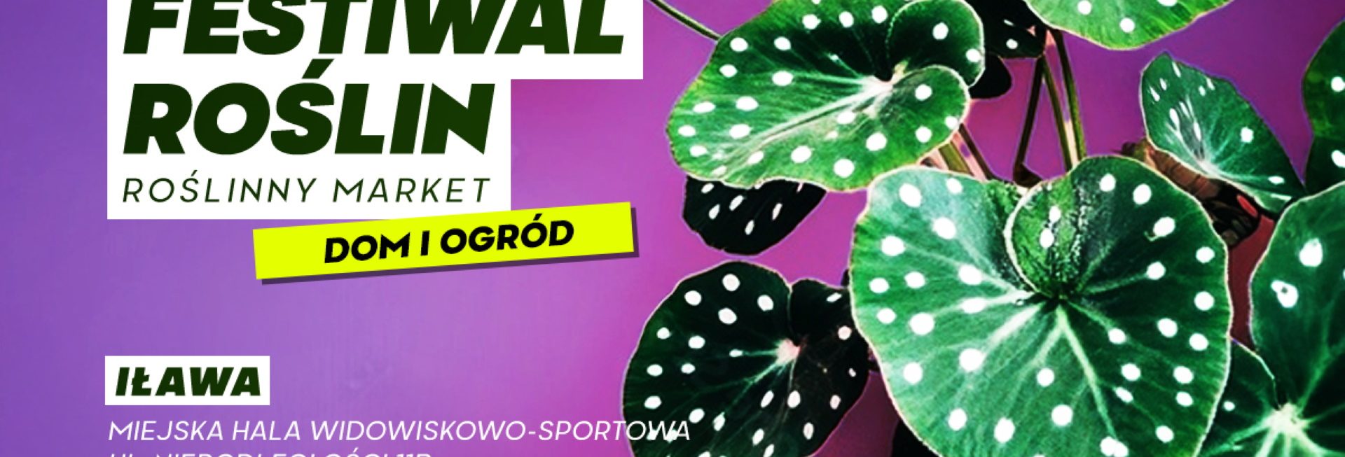 Plakat zapraszający w dniach 11-12 października 2025 r. do Iławy na Festiwal Roślin "Roślinny Market - Dom i Ogród" Iława 2025. 