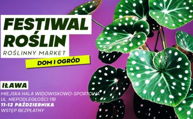 Strona główna