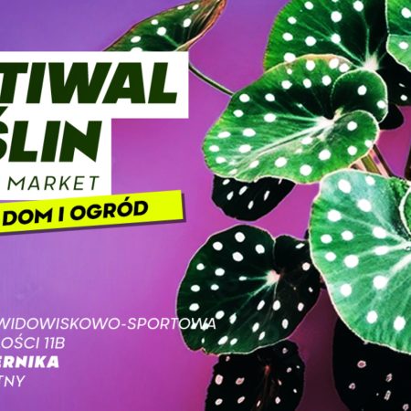 Plakat zapraszający w dniach 11-12 października 2025 r. do Iławy na Festiwal Roślin "Roślinny Market - Dom i Ogród" Iława 2025. 