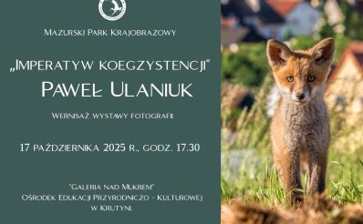 Strona główna