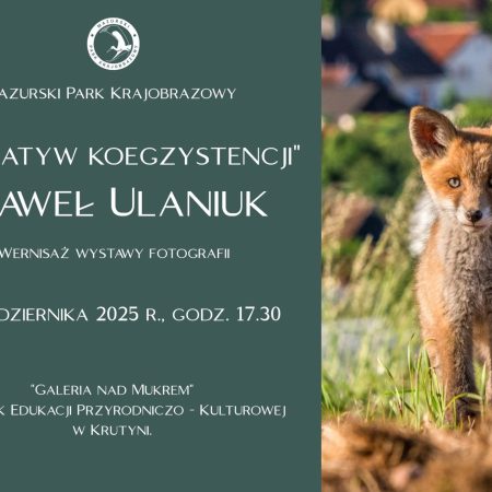 Plakat zapraszający w dniach od 17 października do 31 grudnia 2025 r. do Krutyni na Wystawę Fotografii Pawła Ulaniuka pt. ”Imperatyw koegzystencji” Krutynia 2025.