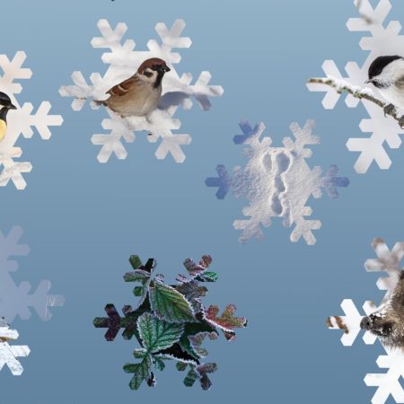 Plakat zapraszający w dniach 19-30 stycznia 2026 r. do Muzeum Przyrody w Olsztynie na ferie zimowe na Warmii i Mazurach 2026 "Ferie w Muzeum Przyrody" Olsztyn 2026.