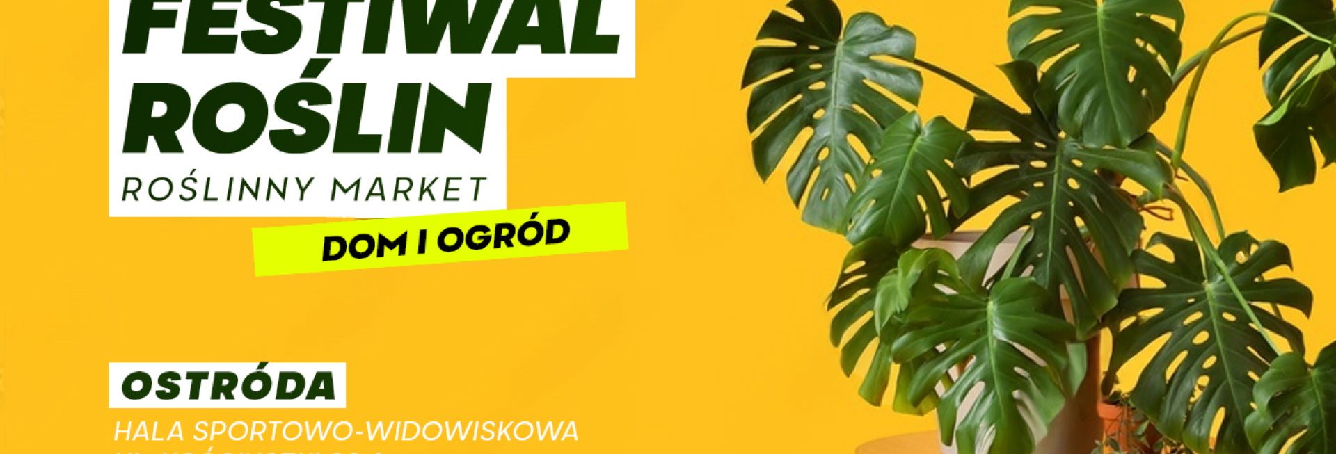 Plakat zapraszający w dniach od 28 lutego do 1 marca 2026 r. do Ostródy Festiwal Roślin - wielki market roślin w super cenach Ostróda 2026. 