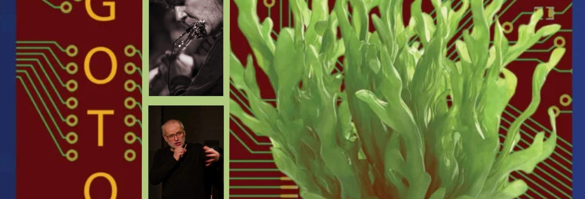 Plakat zapraszający w niedzielę 18 stycznia 2026 r. do Stawigudy na koncert Algotony Stawiguda 2026. 