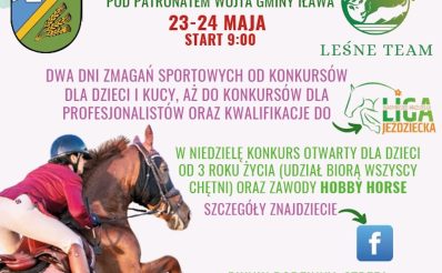 Plakat zapraszający w dniach 23-24 maja 2026 r. do miejscowości Tynwałd w gminie Iława na Regionalne Zawody w Skokach przez Przeszkody Tynwałd 2026. 