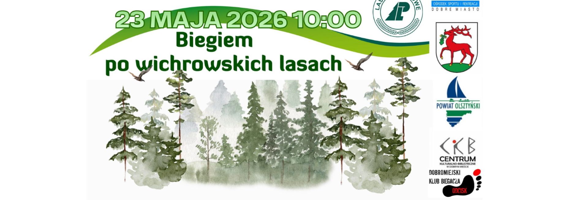 Plakat zapraszający w sobotę 23 maja 2026 r. do miejscowości Wichrowo k. Dobrego Miasta na 15. edycję Biegu Po Wichrowskich Lasach Wichrowo 2026.