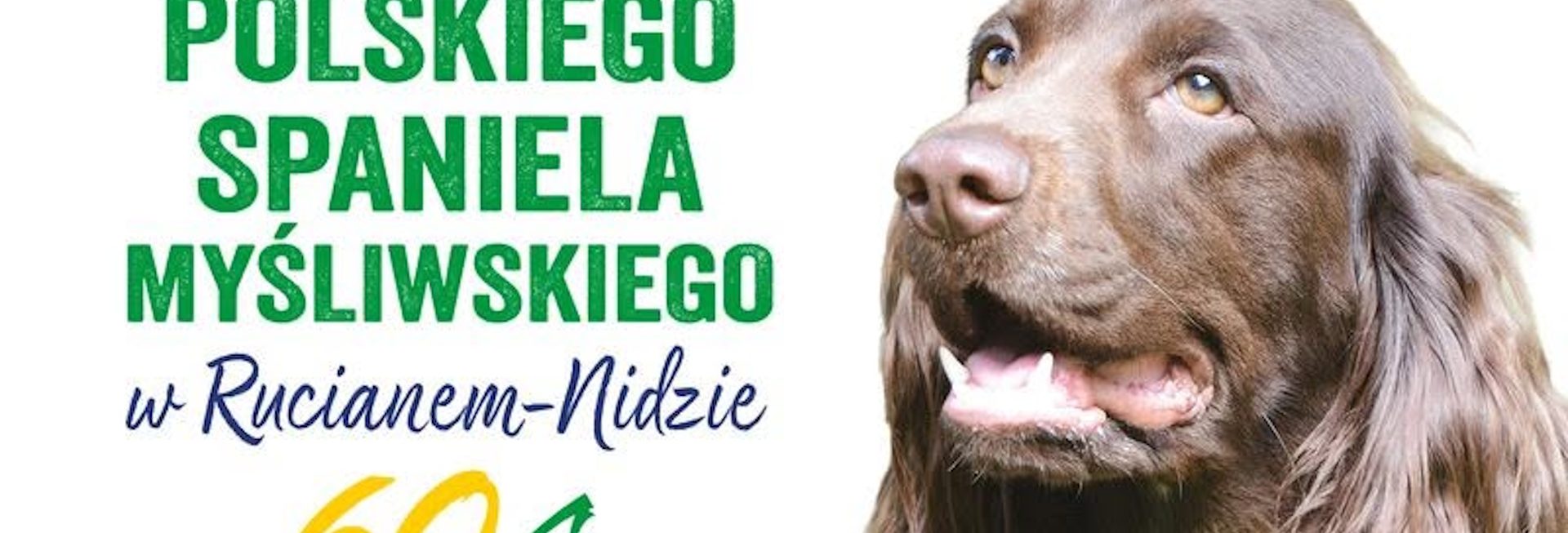Plakat zapraszający w niedzielę 28 czerwca 2026 r. do Rucianego-Nidy na Święto Polskiego Spaniela Myśliwskiego Ruciane-Nida 2026. 